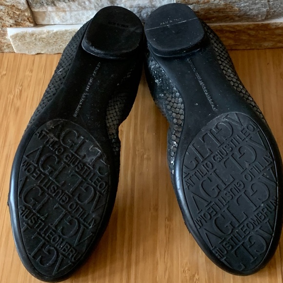 EUC! Attilio Giusti Leombruni (AGL) 'Link' Ballet - Picture 10 of 10